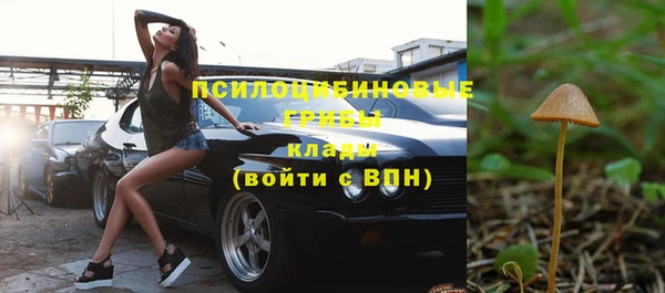 круглые Алексеевка