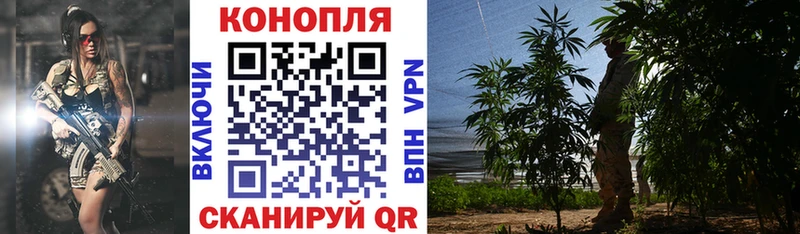 Каннабис тримм  Люберцы 